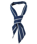 Jb's Wear Hospitality & Chefwear JB'S Chef's Scarf 5FS